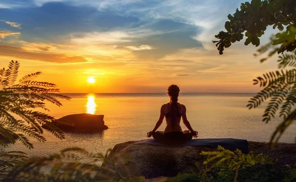 The Power to Pause